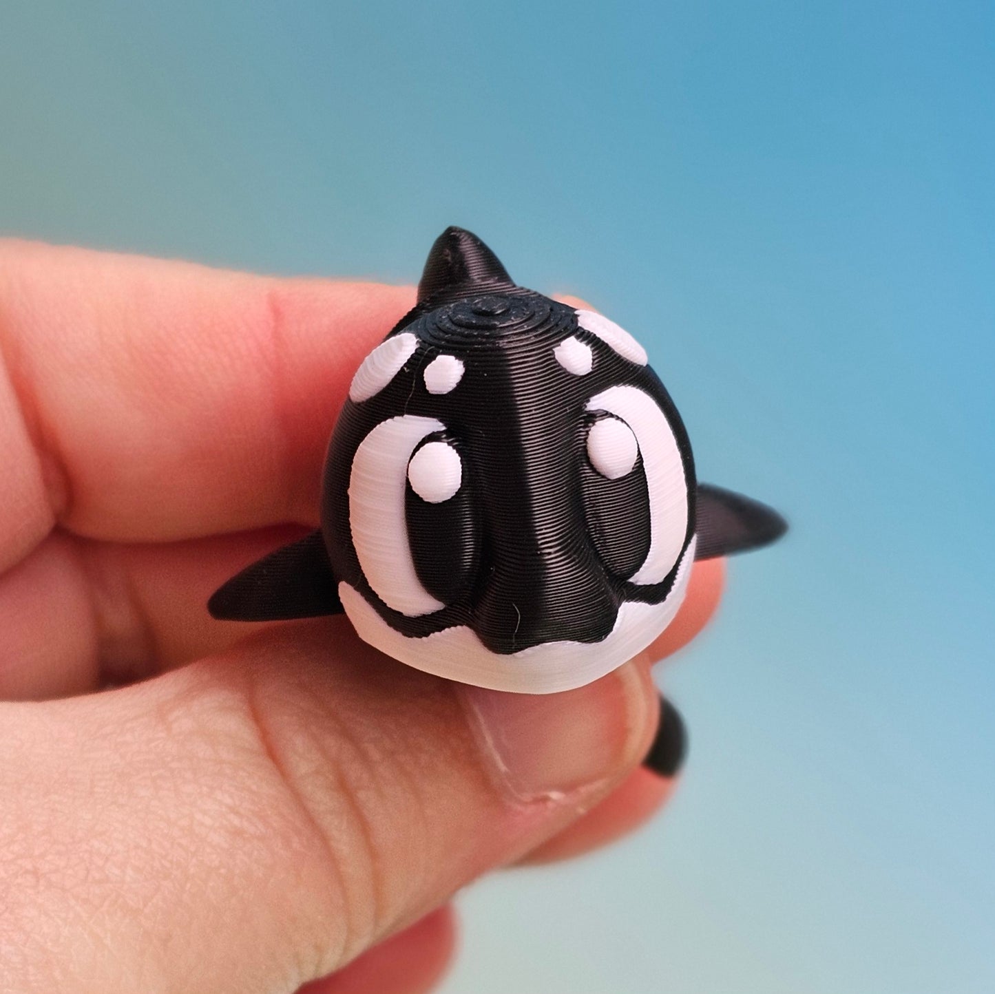 Orca Whale