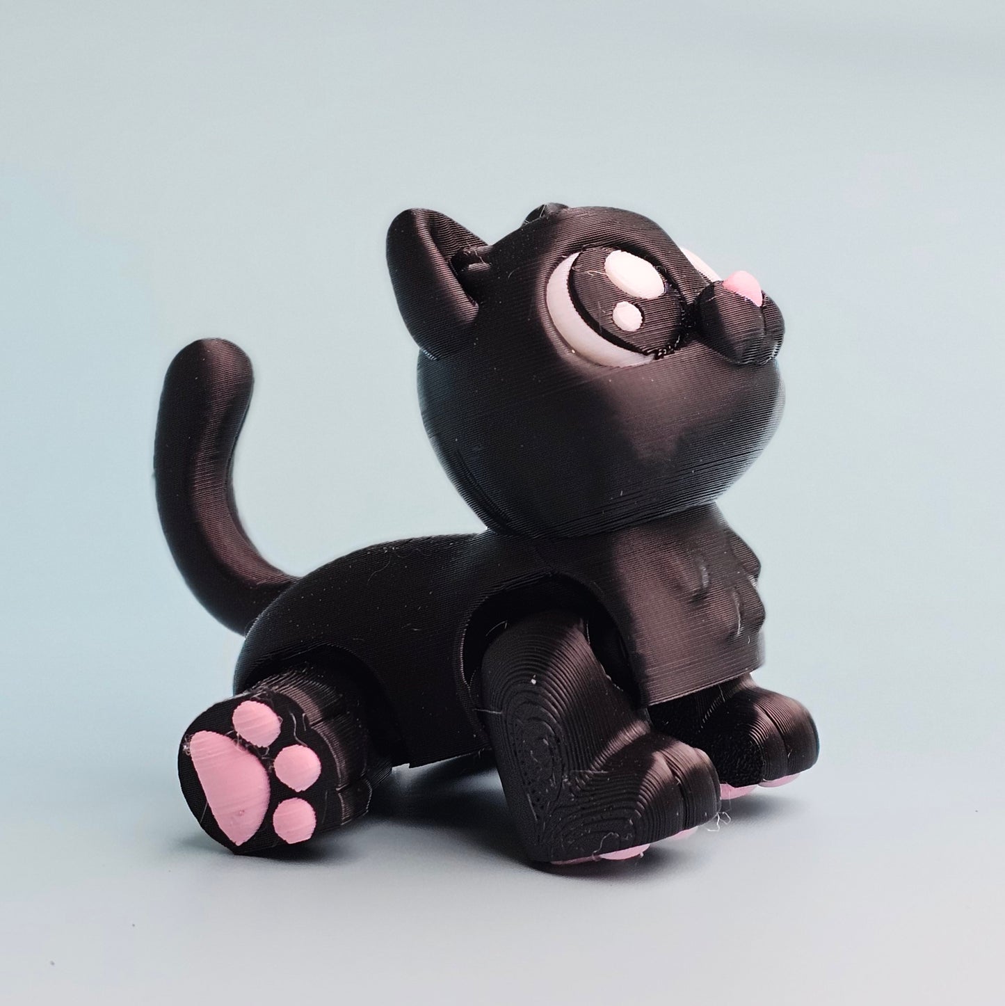 Black Cat
