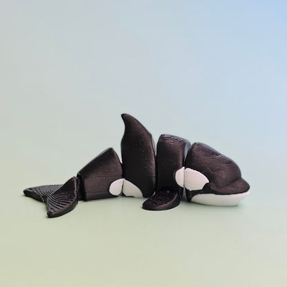 Classic Orca Whale