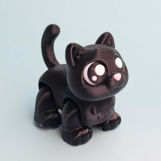 Black Cat
