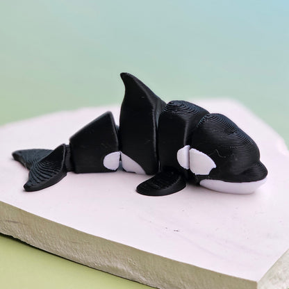 Classic Orca Whale