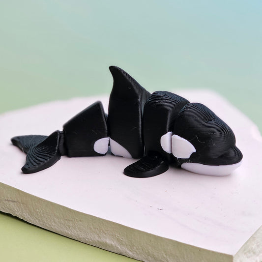 Classic Orca Whale