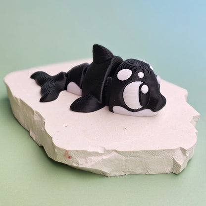 Orca Whale