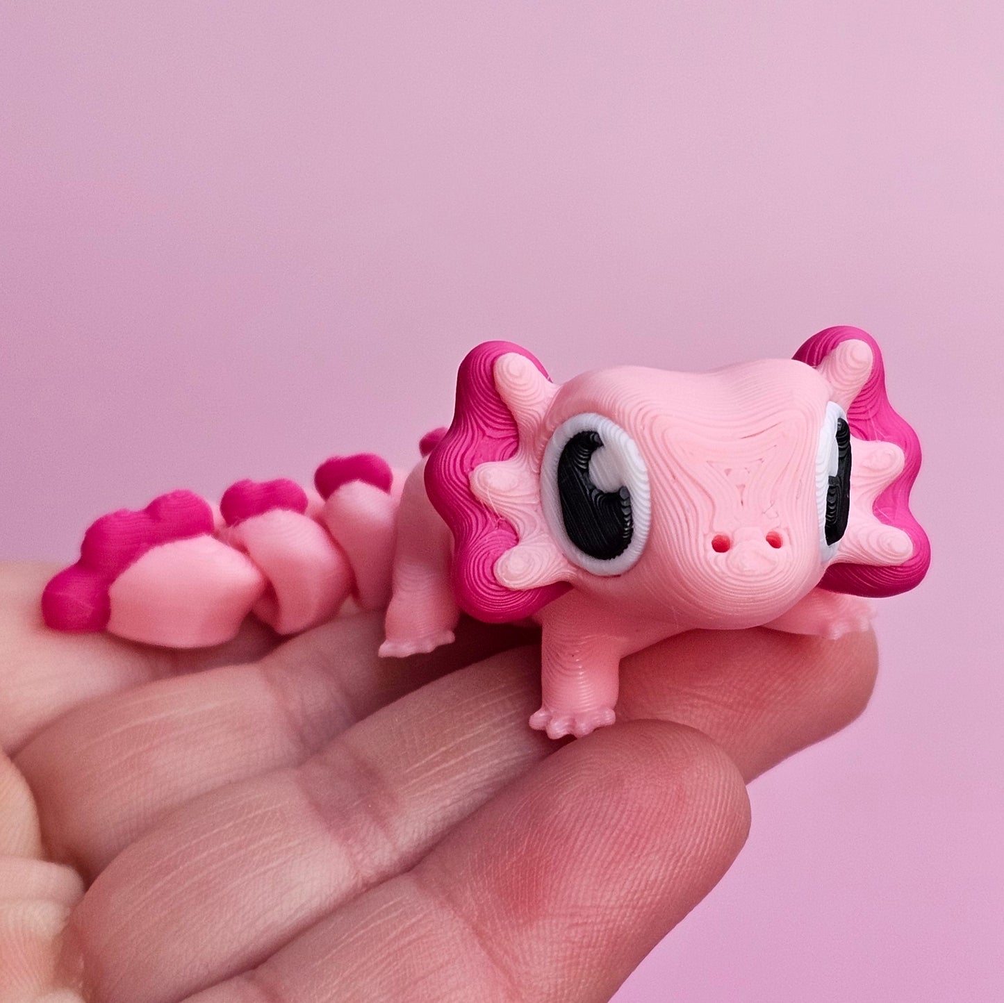 Axolotl