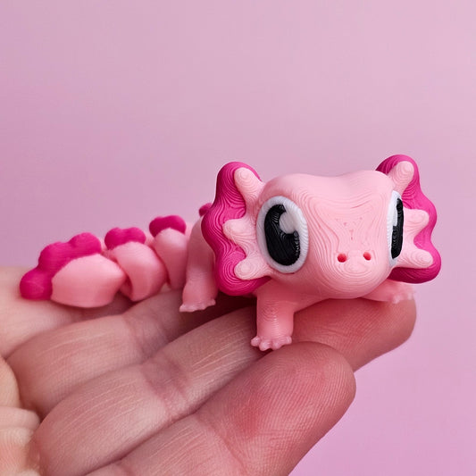 Axolotl