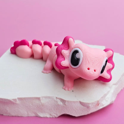 Axolotl