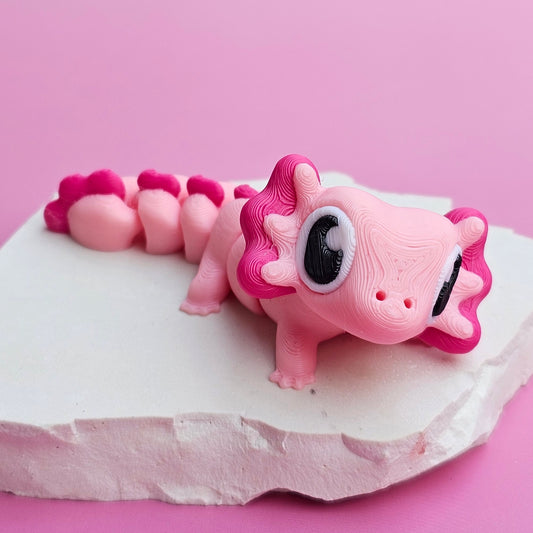 Axolotl