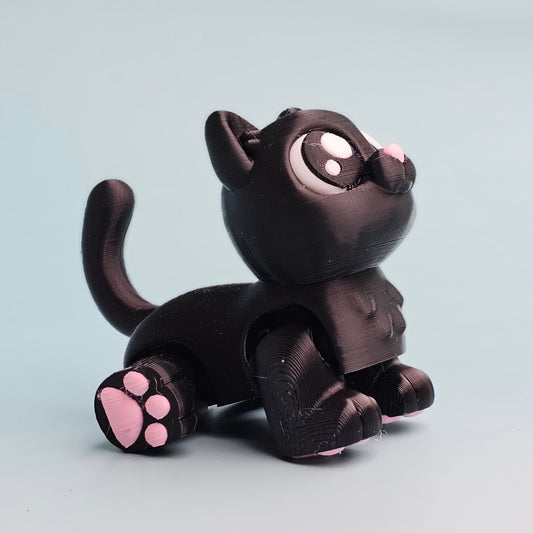 Black Cat